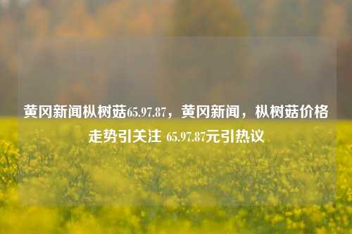 黄冈新闻枞树菇65.97.87，黄冈新闻，枞树菇价格走势引关注 65.97.87元引热议