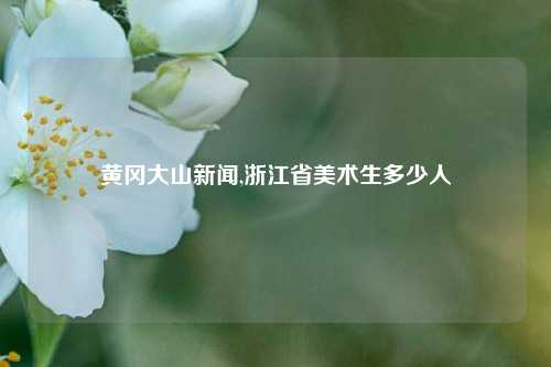 黄冈大山新闻,浙江省美术生多少人