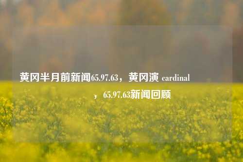 黄冈半月前新闻65.97.63，黄冈演 cardinal ਤੱਤਪਤਨ，65.97.63新闻回顾