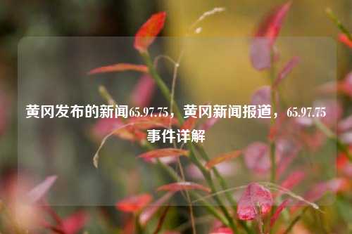 黄冈发布的新闻65.97.75，黄冈新闻报道，65.97.75事件详解