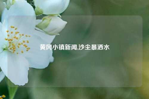 黄冈小镇新闻,沙尘暴洒水