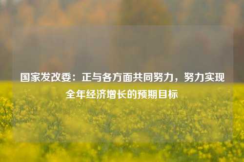 国家发改委：正与各方面共同努力，努力实现全年经济增长的预期目标