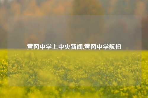 黄冈中学上中央新闻,黄冈中学航拍