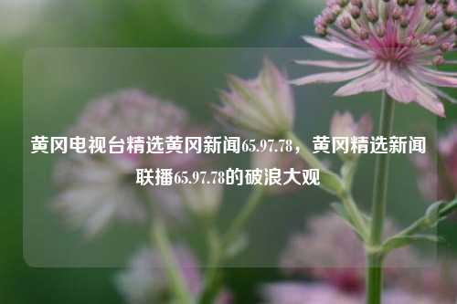 黄冈电视台精选黄冈新闻65.97.78，黄冈精选新闻联播65.97.78的破浪大观