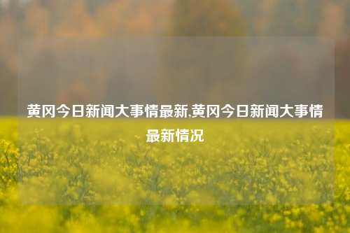 黄冈今日新闻大事情最新,黄冈今日新闻大事情最新情况