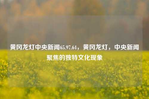 黄冈龙灯中央新闻65.97.64，黄冈龙灯，中央新闻聚焦的独特文化现象