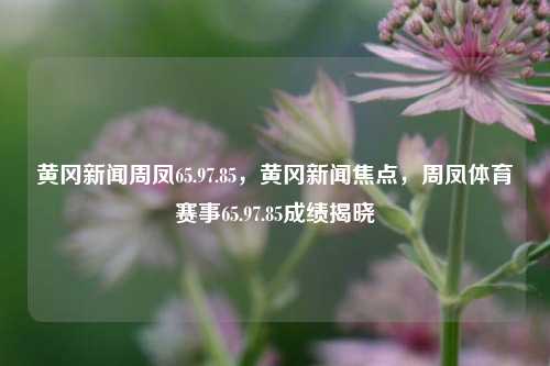 黄冈新闻周凤65.97.85，黄冈新闻焦点，周凤体育赛事65.97.85成绩揭晓