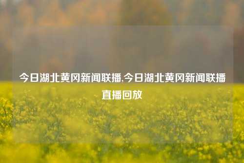 今日湖北黄冈新闻联播,今日湖北黄冈新闻联播直播回放