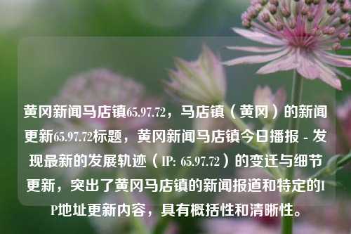 黄冈新闻马店镇65.97.72，马店镇（黄冈）的新闻更新65.97.72标题，黄冈新闻马店镇今日播报 - 发现最新的发展轨迹（IP: 65.97.72）的变迁与细节更新，突出了黄冈马店镇的新闻报道和特定的IP地址更新内容，具有概括性和清晰性。