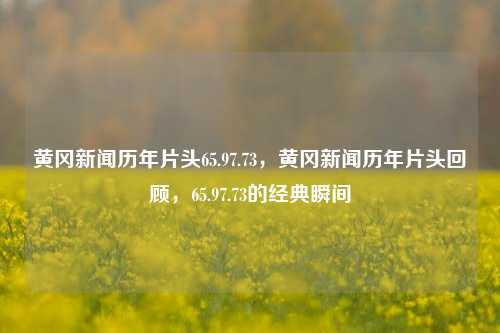 黄冈新闻历年片头65.97.73，黄冈新闻历年片头回顾，65.97.73的经典瞬间