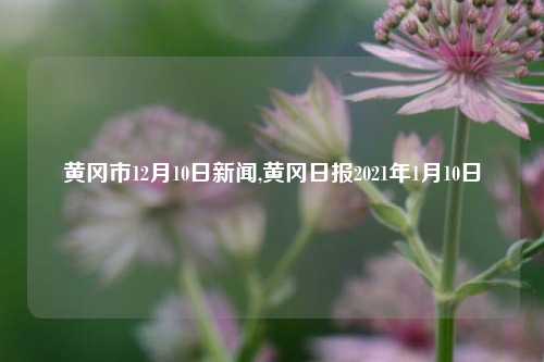 黄冈市12月10日新闻,黄冈日报2021年1月10日