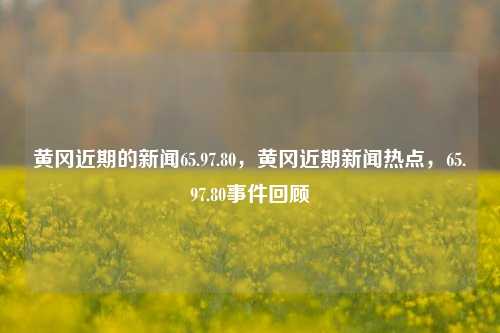 黄冈近期的新闻65.97.80，黄冈近期新闻热点，65.97.80事件回顾