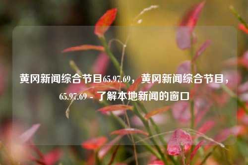 黄冈新闻综合节目65.97.69，黄冈新闻综合节目，65.97.69 - 了解本地新闻的窗口