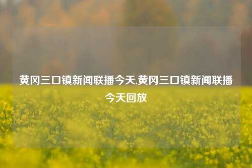 黄冈三口镇新闻联播今天,黄冈三口镇新闻联播今天回放