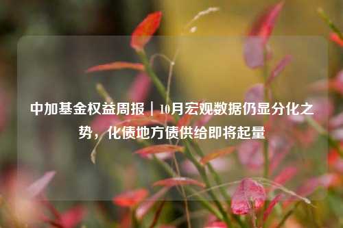 中加基金权益周报︱10月宏观数据仍显分化之势，化债地方债供给即将起量