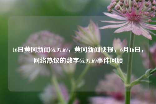 16日黄冈新闻65.97.69，黄冈新闻快报，6月16日，网络热议的数字65.97.69事件回顾