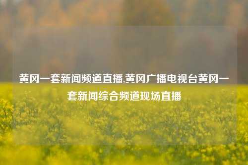 黄冈一套新闻频道直播,黄冈广播电视台黄冈一套新闻综合频道现场直播