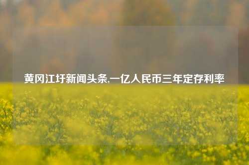 黄冈江圩新闻头条,一亿人民币三年定存利率