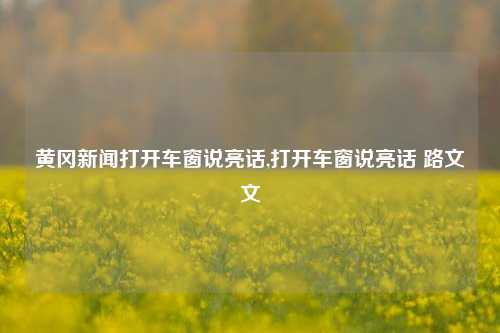 黄冈新闻打开车窗说亮话,打开车窗说亮话 路文文