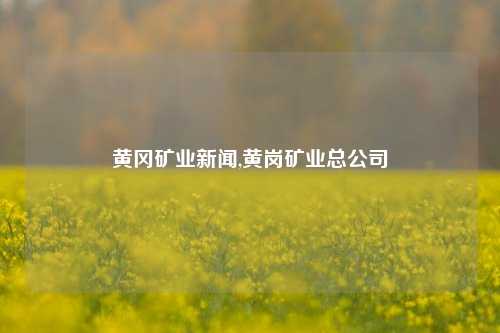 黄冈矿业新闻,黄岗矿业总公司