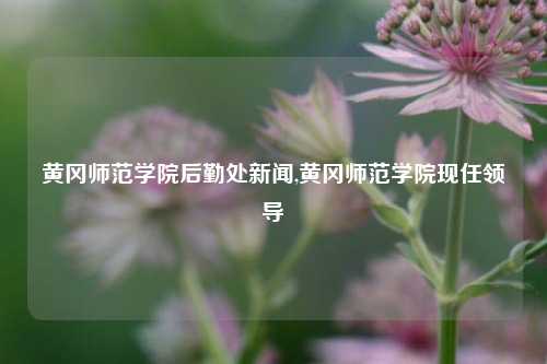 黄冈师范学院后勤处新闻,黄冈师范学院现任领导