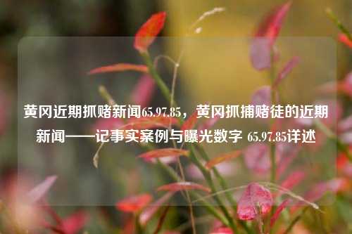 黄冈近期抓赌新闻65.97.85，黄冈抓捕赌徒的近期新闻——记事实案例与曝光数字 65.97.85详述