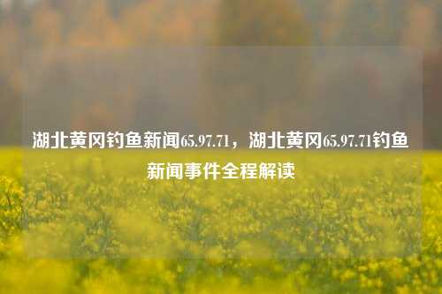 湖北黄冈钓鱼新闻65.97.71，湖北黄冈65.97.71钓鱼新闻事件全程解读