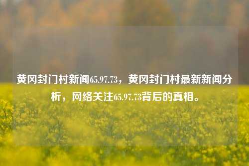 黄冈封门村新闻65.97.73，黄冈封门村最新新闻分析，网络关注65.97.73背后的真相。