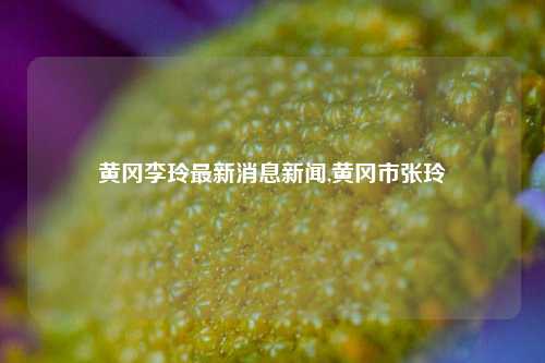 黄冈李玲最新消息新闻,黄冈市张玲