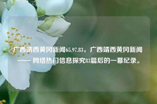 广西靖西黄冈新闻65.97.83，广西靖西黄冈新闻 —— 网络热门信息探究83篇后的一幕纪录。