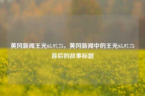 黄冈新闻王光65.97.75，黄冈新闻中的王光65.97.75背后的故事标题