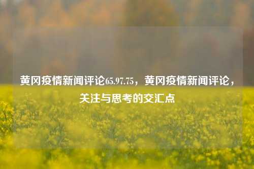 黄冈疫情新闻评论65.97.75，黄冈疫情新闻评论，关注与思考的交汇点