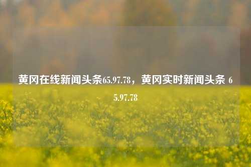 黄冈在线新闻头条65.97.78，黄冈实时新闻头条 65.97.78