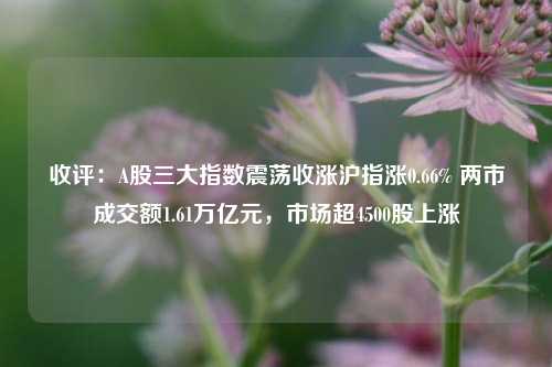 收评：A股三大指数震荡收涨沪指涨0.66% 两市成交额1.61万亿元，市场超4500股上涨