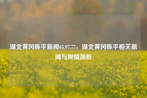 湖北黄冈陈平新闻65.97.77，湖北黄冈陈平相关新闻与舆情简析