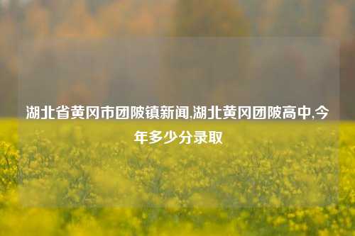 湖北省黄冈市团陂镇新闻,湖北黄冈团陂高中,今年多少分录取