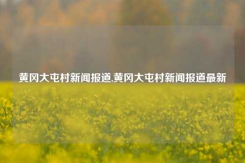 黄冈大屯村新闻报道,黄冈大屯村新闻报道最新