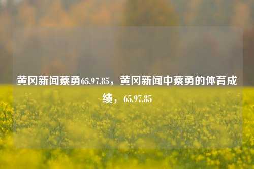 黄冈新闻蔡勇65.97.85，黄冈新闻中蔡勇的体育成绩，65.97.85