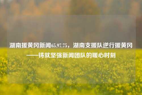 湖南援黄冈新闻65.97.75，湖南支援队逆行援黄冈——铸就坚强新闻团队的暖心时刻