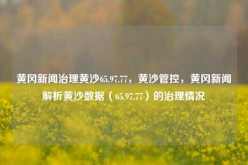 黄冈新闻治理黄沙65.97.77，黄沙管控，黄冈新闻解析黄沙数据（65.97.77）的治理情况