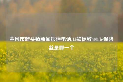 黄冈市滩头镇新闻报道电话,13款标致408abs保险丝是哪一个