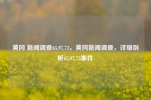 黄冈 新闻调查65.97.73，黄冈新闻调查，详细剖析65.97.73事件