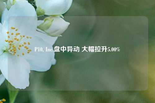 P10, Inc.盘中异动 大幅拉升5.00%