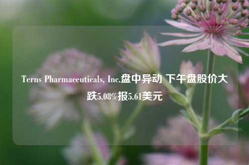 Terns Pharmaceuticals, Inc.盘中异动 下午盘股价大跌5.08%报5.61美元