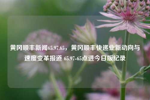 黄冈顺丰新闻65.97.65，黄冈顺丰快递业新动向与速度变革报道 65.97-65点进今日版纪录