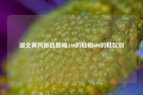 湖北黄冈新县新闻,100的鞋和600的鞋区别