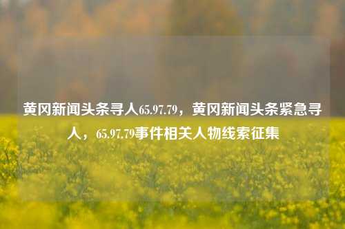 黄冈新闻头条寻人65.97.79，黄冈新闻头条紧急寻人，65.97.79事件相关人物线索征集