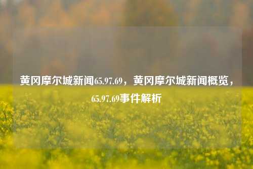 黄冈摩尔城新闻65.97.69，黄冈摩尔城新闻概览，65.97.69事件解析