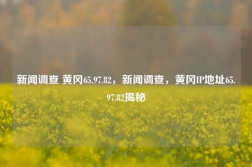 新闻调查 黄冈65.97.82，新闻调查，黄冈IP地址65.97.82揭秘