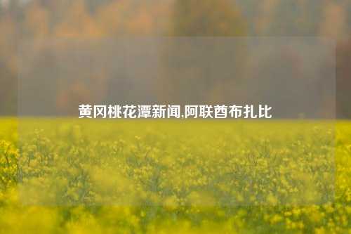 黄冈桃花潭新闻,阿联酋布扎比